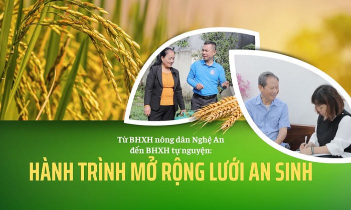 Từ BHXH nông dân Nghệ An đến BHXH tự nguyện: Hành trình mở rộng lưới an sinh